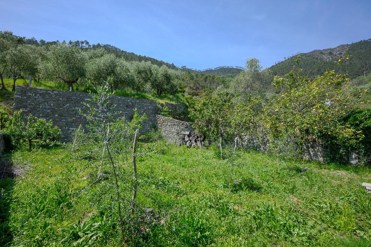 Villa Casa Limoni Monterosso al Mare Esterno foto